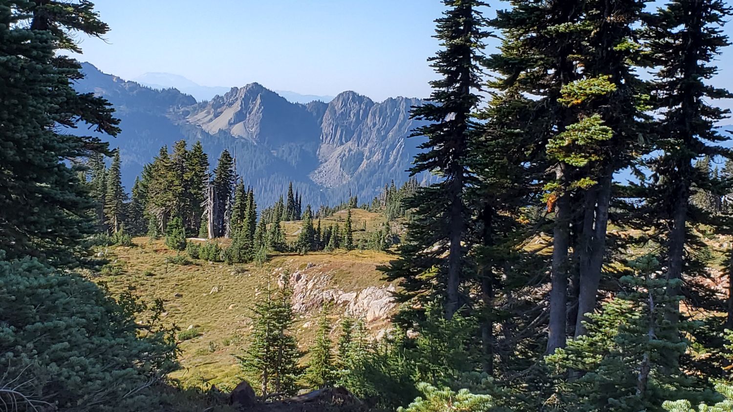 Mount Rainier NP 